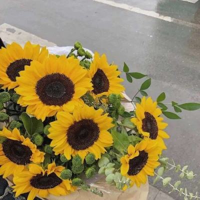 168极速赛车平台·官方网站