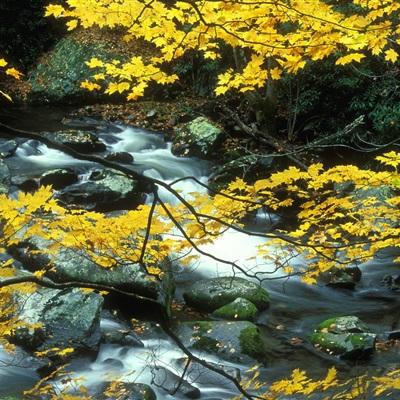 爱游戏APP·官方登录入口(ayx)